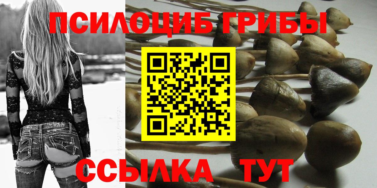 Дмитров  Псилоцибиновые грибы Psilocybine cubensis  Вход с VPN  Галлюциногенные грибы ЛСД 