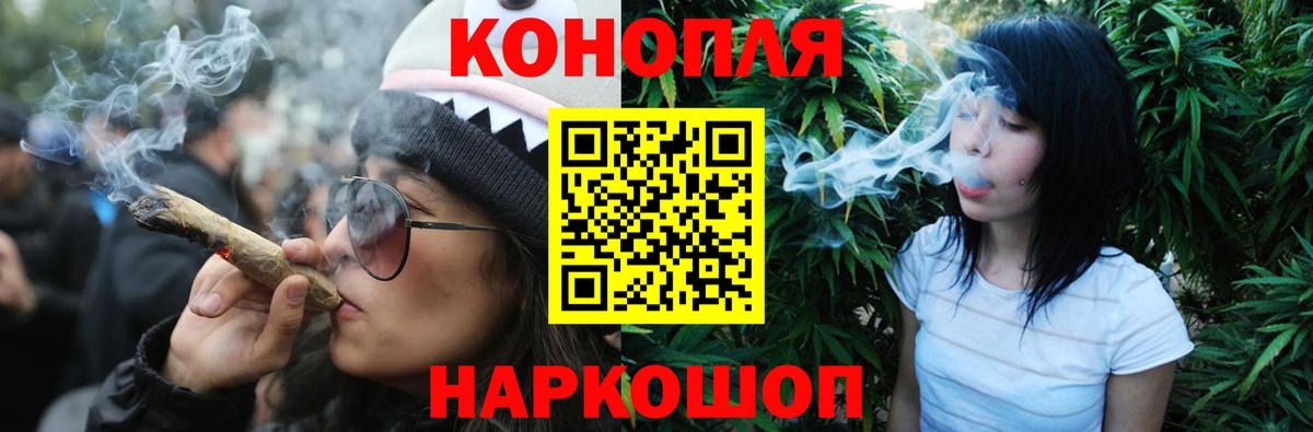 Бошки Шишки план Дмитров